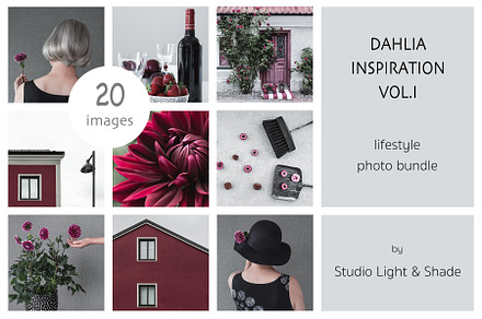 Dahlia Inspiration - Photo Bundle 1