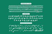 Sattyne Bregast Bold Brush Font Type, a Script Font by Letterena Studios Script (Thumbnail 13 of 15)