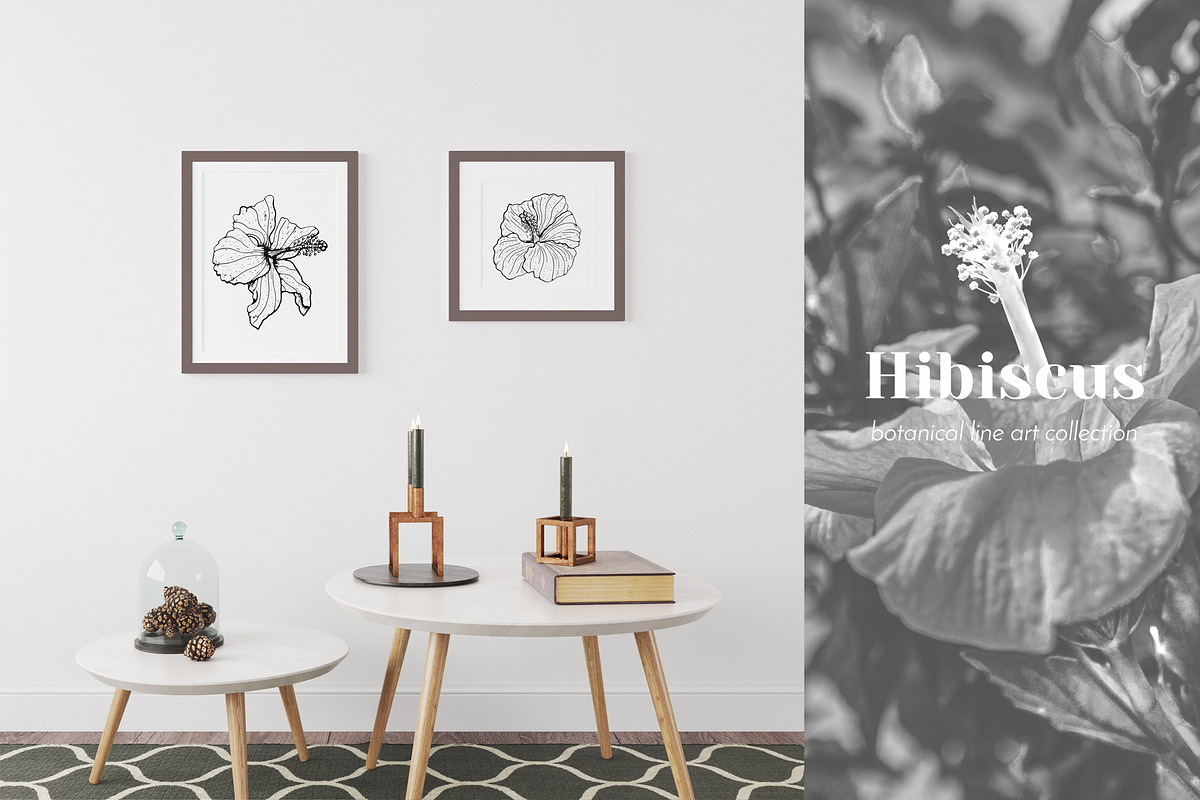 Hibiscus Flower Ink Line Art Drawing, an Object Graphic by Rose Design (Photo 9 of 11)