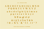 Hedgier - Modern Serif Typeface, a Serif Font by Fridaytype (Thumbnail 10 of 10)