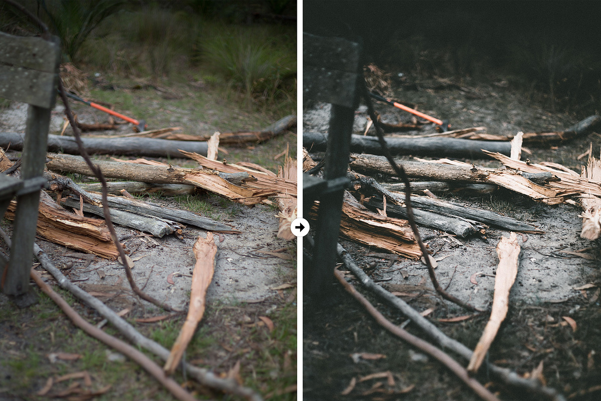 Forest VSCO-Like Lightroom Preset preview 5