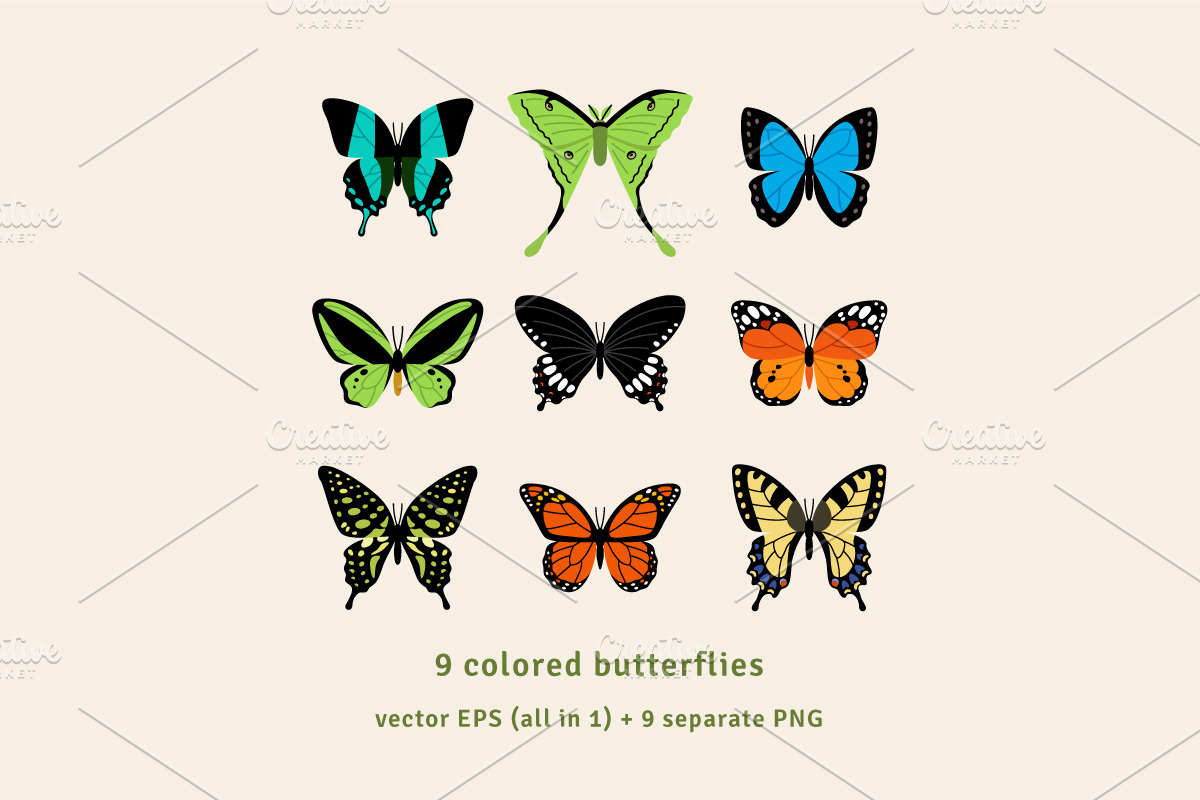Butterflies vector and PNG clipart, an Animal Illustration by kotoffei (Photo 2 of 5)
