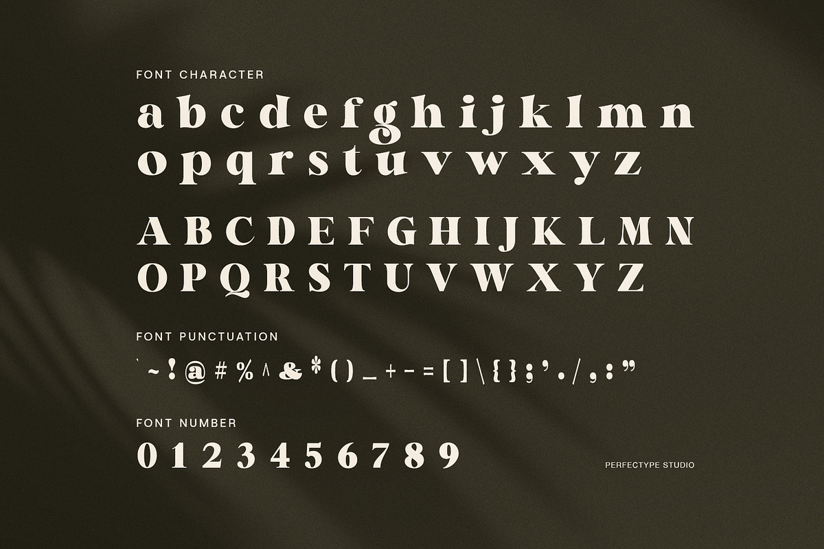 Magil Elegant Serif Font, a Serif Font by Perfectype (Photo 7 of 8)