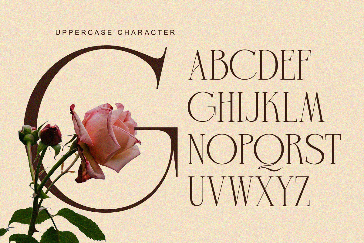 Charnoir - Modern Elegant Luxury, a Serif Font by Qweera Studio (Photo 9 of 12)