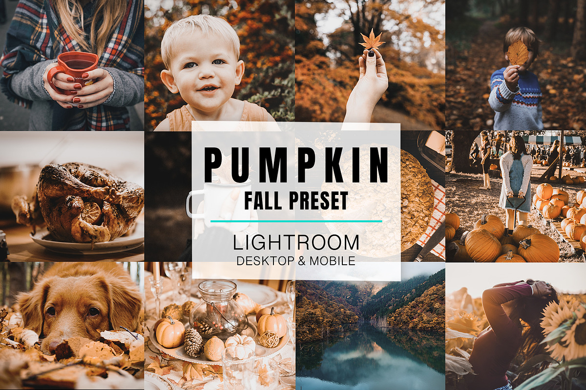 Lightroom Mobile - Pumpkin, an Action Add-On by Design Aesthetic (Photo 1 of 9)
