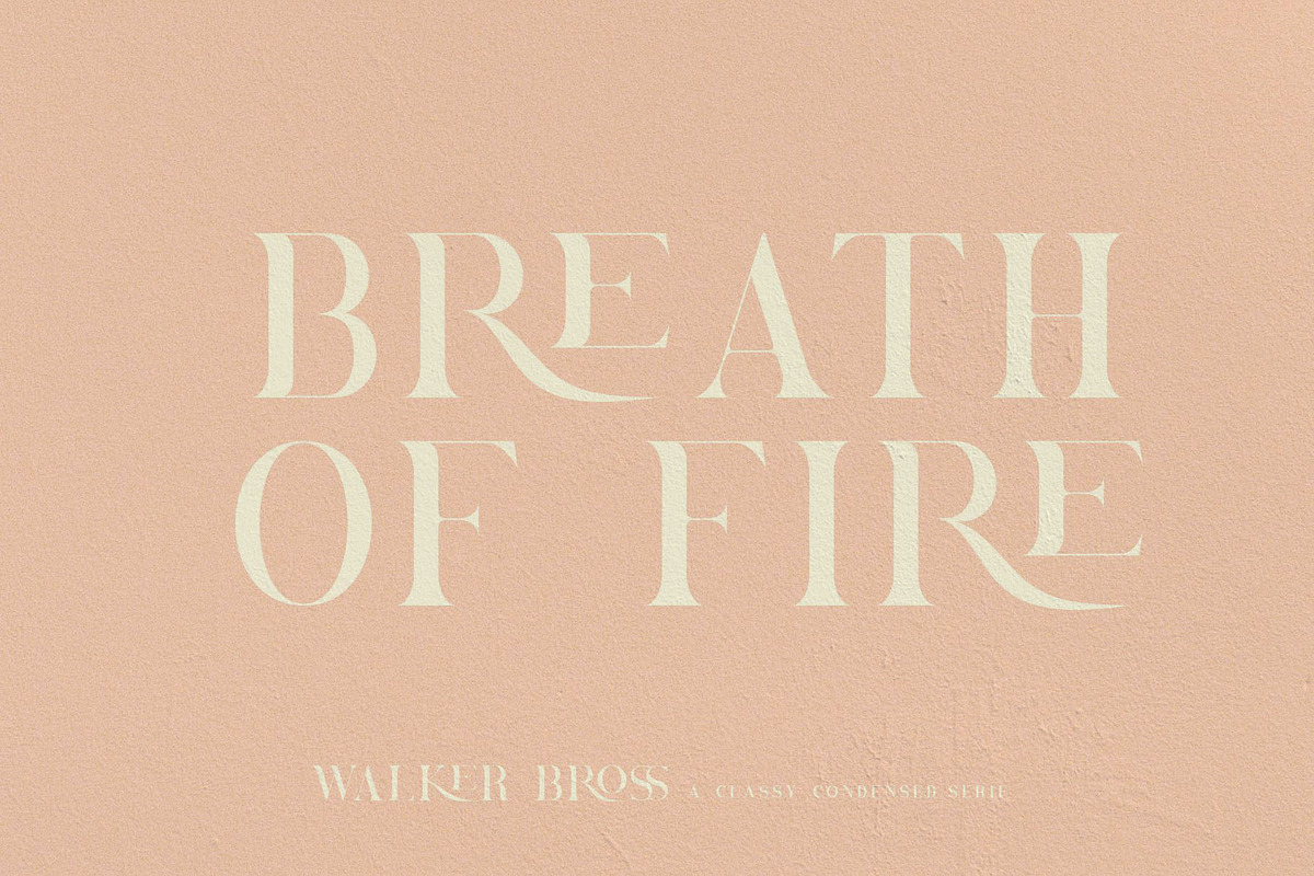 Brovile. A Classy Serif preview 2