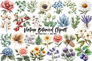 Vintage Botanical Clipart, an Illustration by Libby Wishes (Thumbnail 1 of 6)