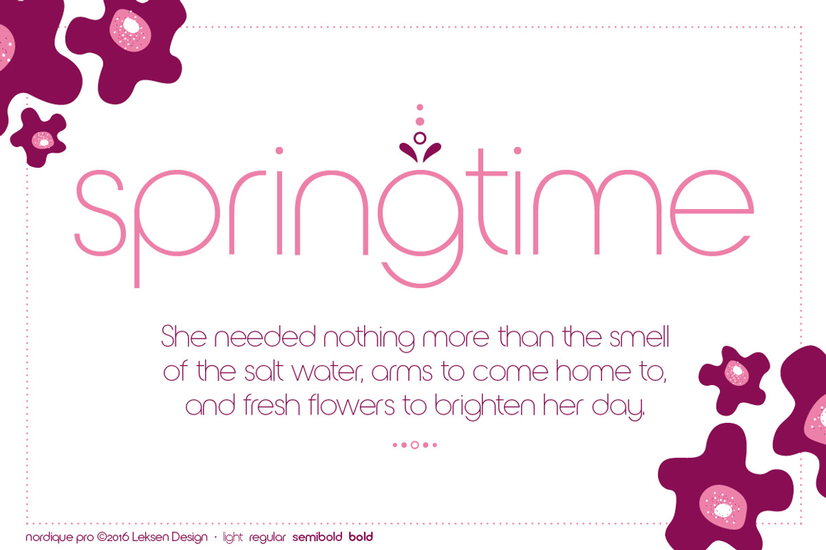 Nordique Pro Full Collection, a Sans Serif Font by Leksen Design (Photo 3 of 3)