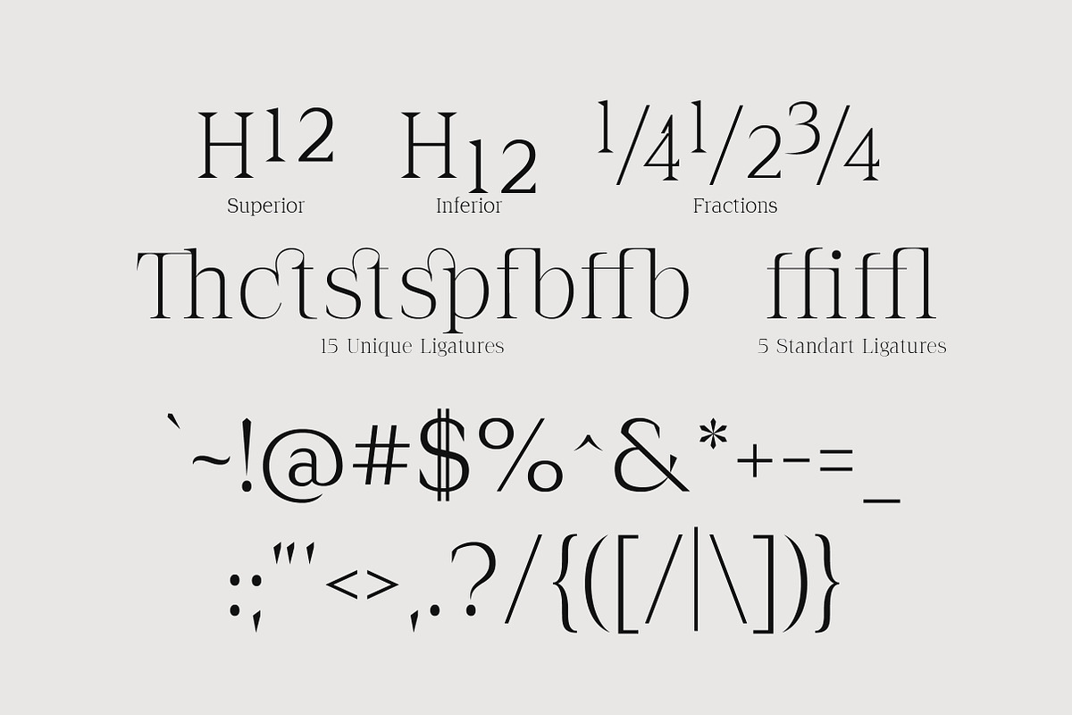 The Letter Editorial – Modern Serif, a Serif Font by Lettertype Studio (Photo 12 of 16)