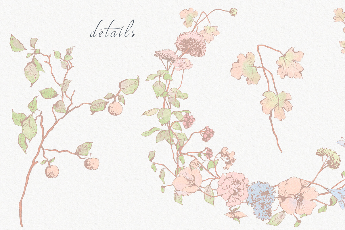 Pastel Floral collection, an Illustration by Sensual Art (Photo 10 of 10)