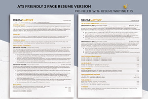 ATS Friendly Resume Google Docs Gold