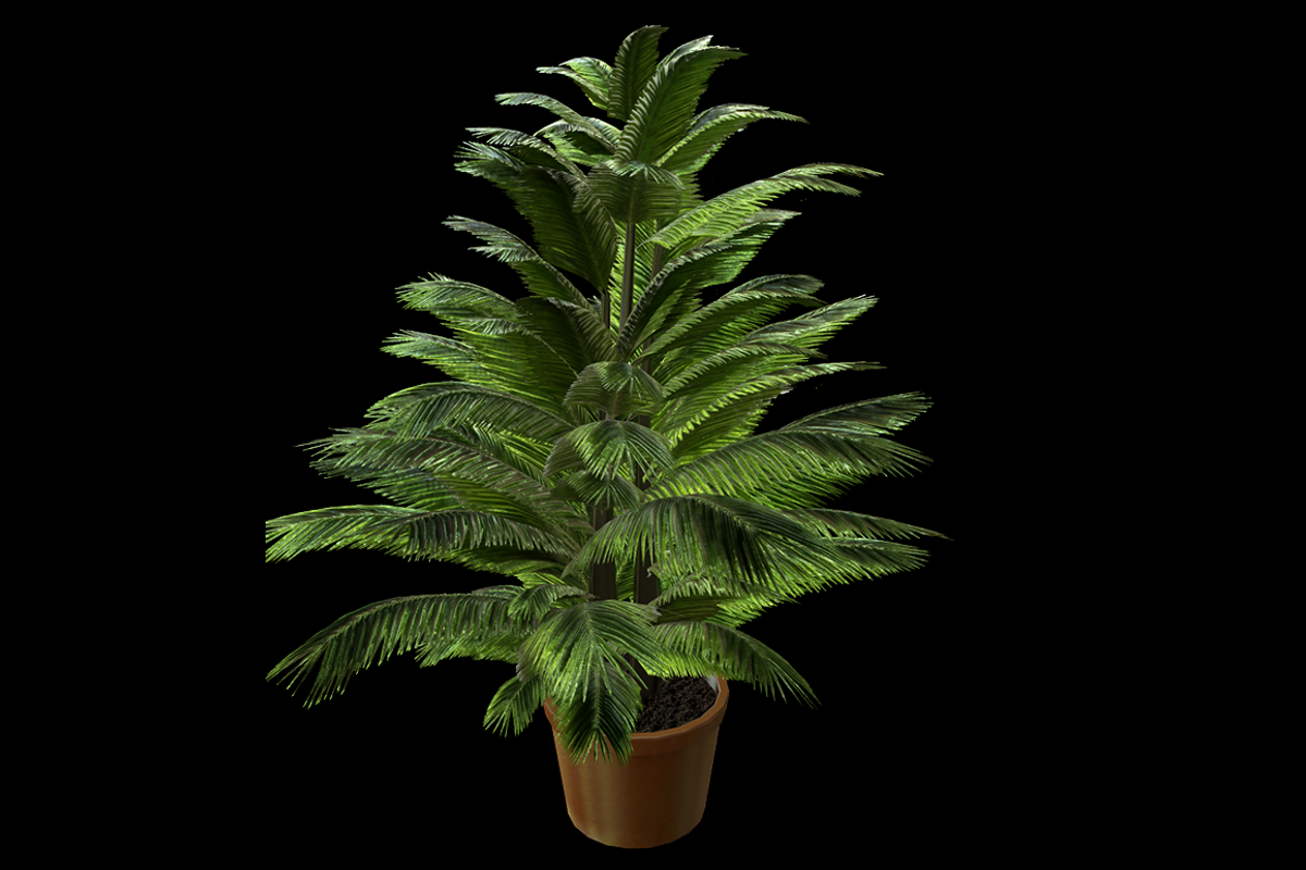 Indoor Plant : Fern, a Plants & Tree 3D Model by Kindesigns (Photo 1 of 4)