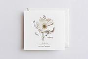 Pressed Flowers (Png) Elements, a Background Graphic by by creative paper (Thumbnail 6 of 13)