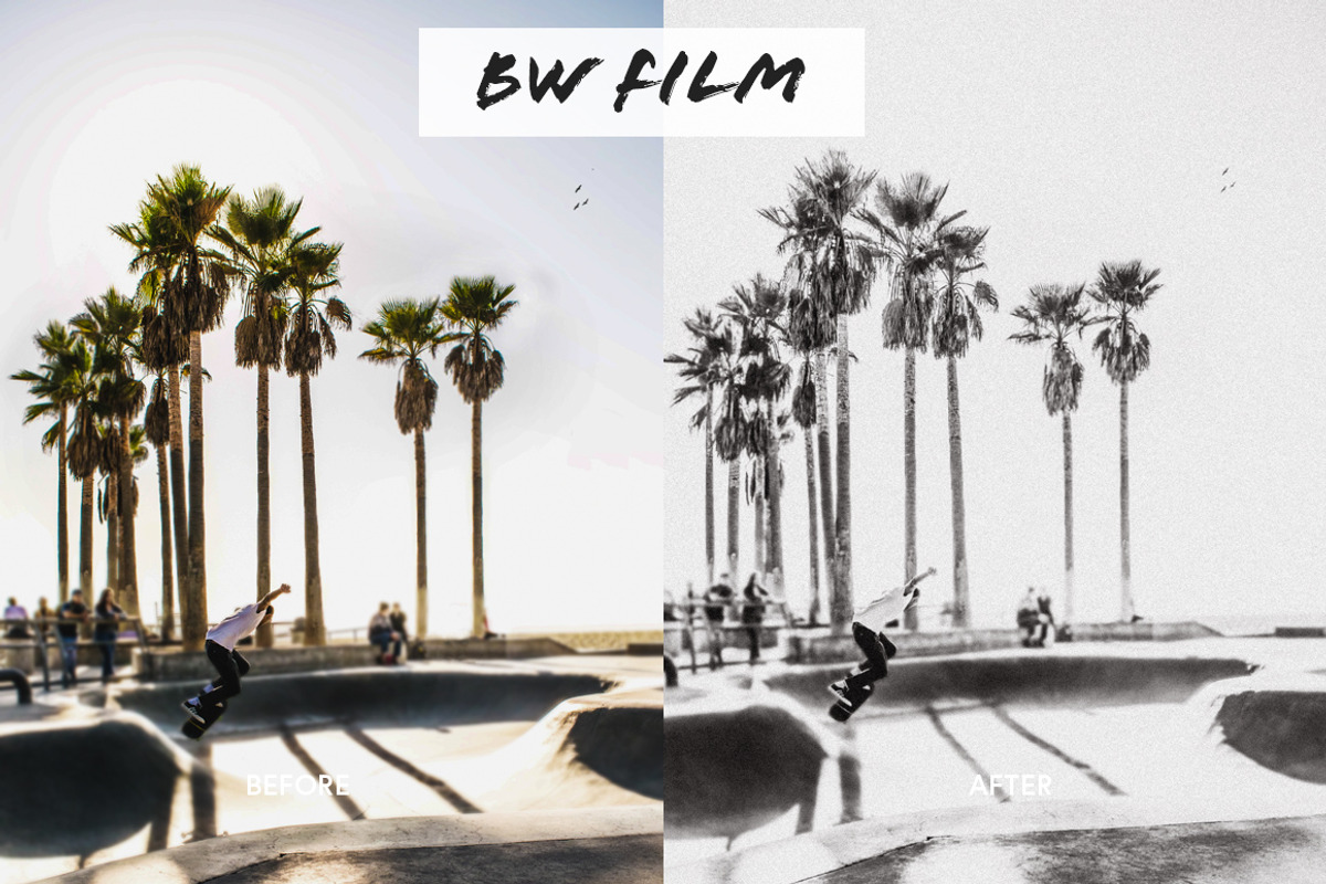 Black and White Film Preset preview 2