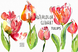 Tulip Watercolor Clipart