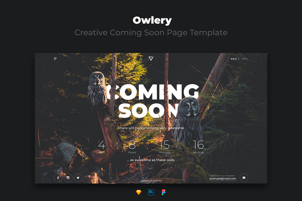 Owlery - Creative Coming Soon Page, a Websites & App Template by Alexandr Gorbatov (Photo 1 of 2)