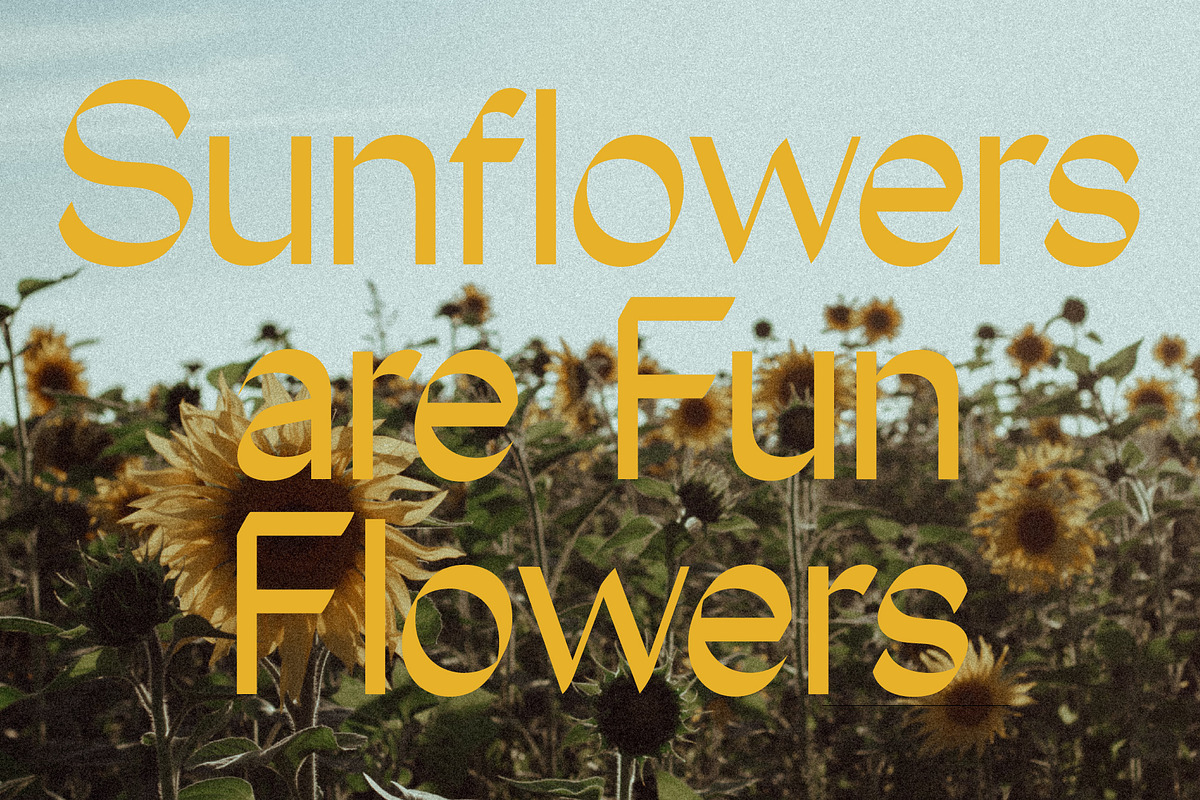 South Pacific, a Sans Serif Font by Tropical Type (Photo 9 of 11)