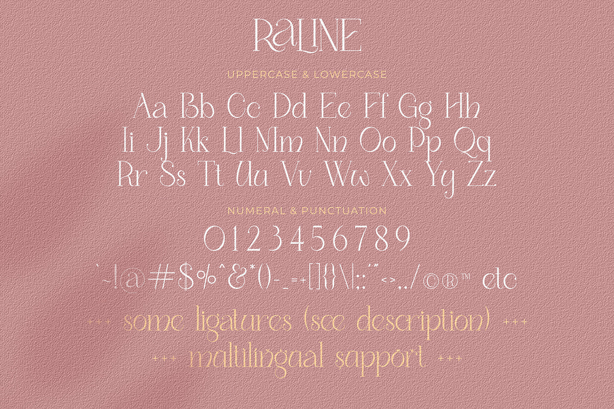 Raline - Classy Modern Serif Font, a Serif Font by Airotype (Photo 9 of 10)
