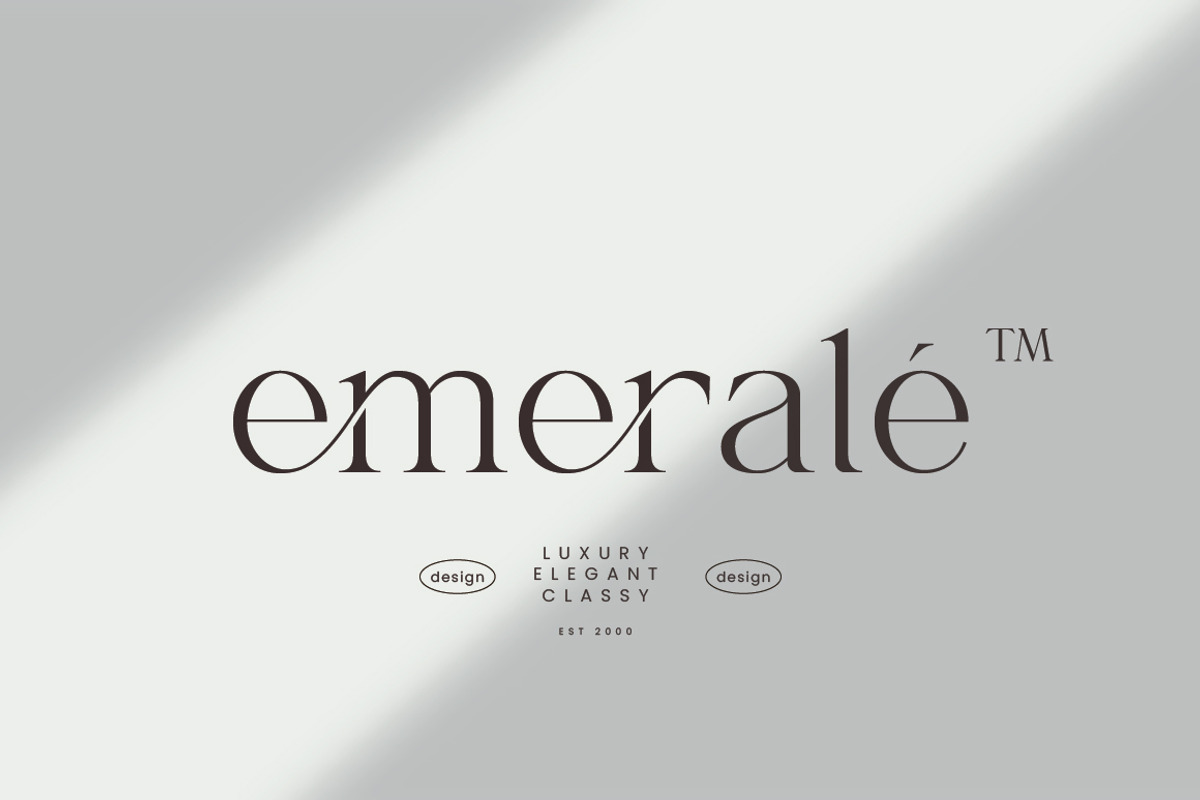 Shanell - Modern & Luxury Serif Font, a Serif Font by Typebae (Photo 8 of 12)
