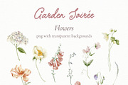Garden Flowers Wildflowers clipart, a Decorative Illustration by Yuliya Derbisheva (Thumbnail 11 of 14)
