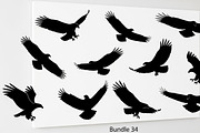 Powerful eagle flying wall art, an Illustration by Amazin_art (Thumbnail 17 of 26)