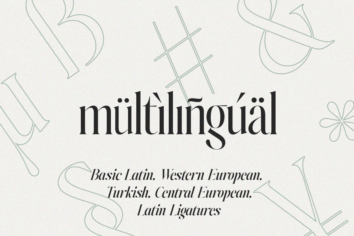 Johannes Keppler Family (18 Fonts), a Serif Font by Positive TypeFoundry (Photo 14 of 15)