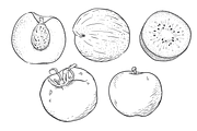 Vintage Vegetables & Fruits Kit, a Food Illustration by kulturrrno (Thumbnail 4 of 5)