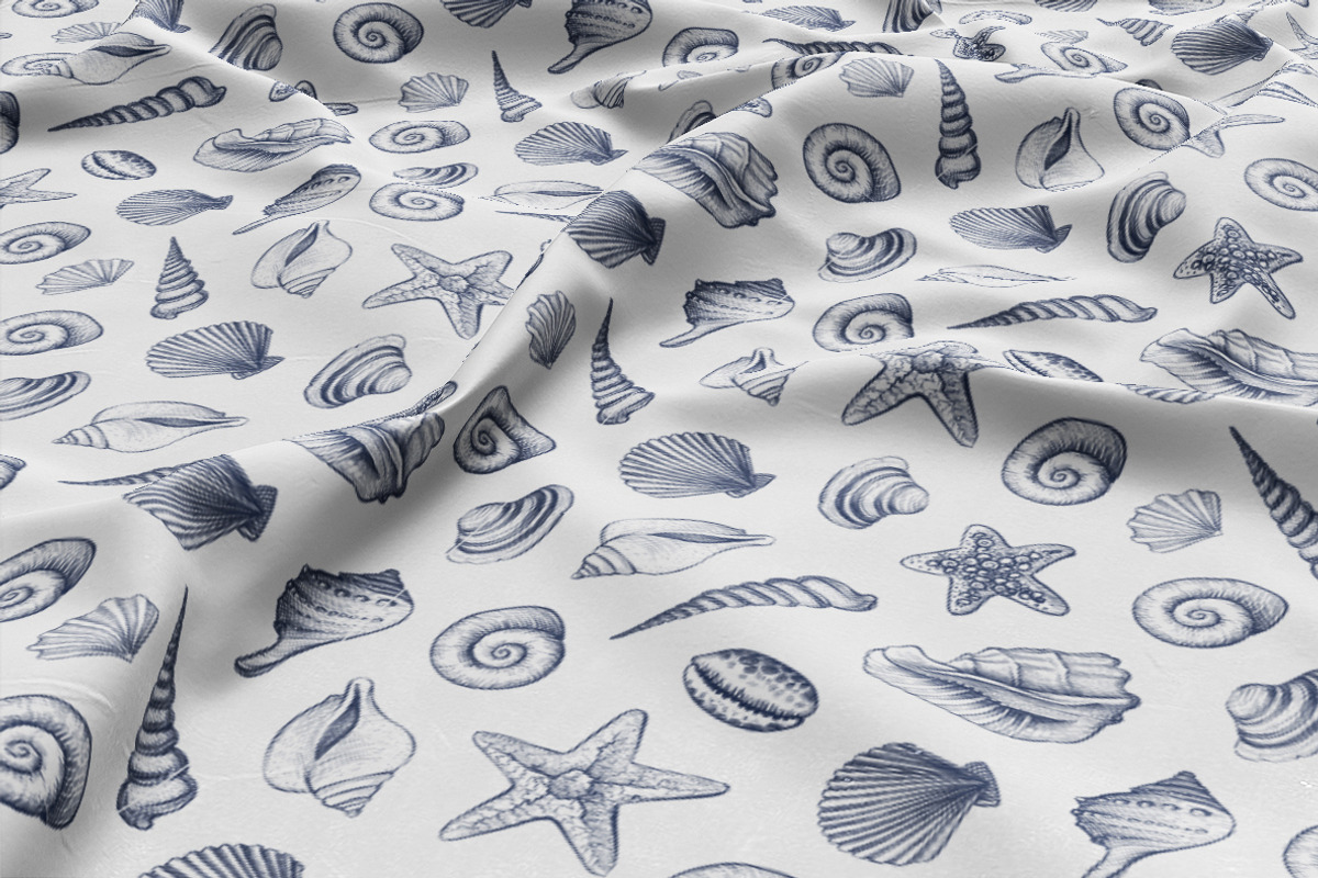 Sea Shells Collection, a Food Illustration by Aquatinta (Photo 8 of 9)