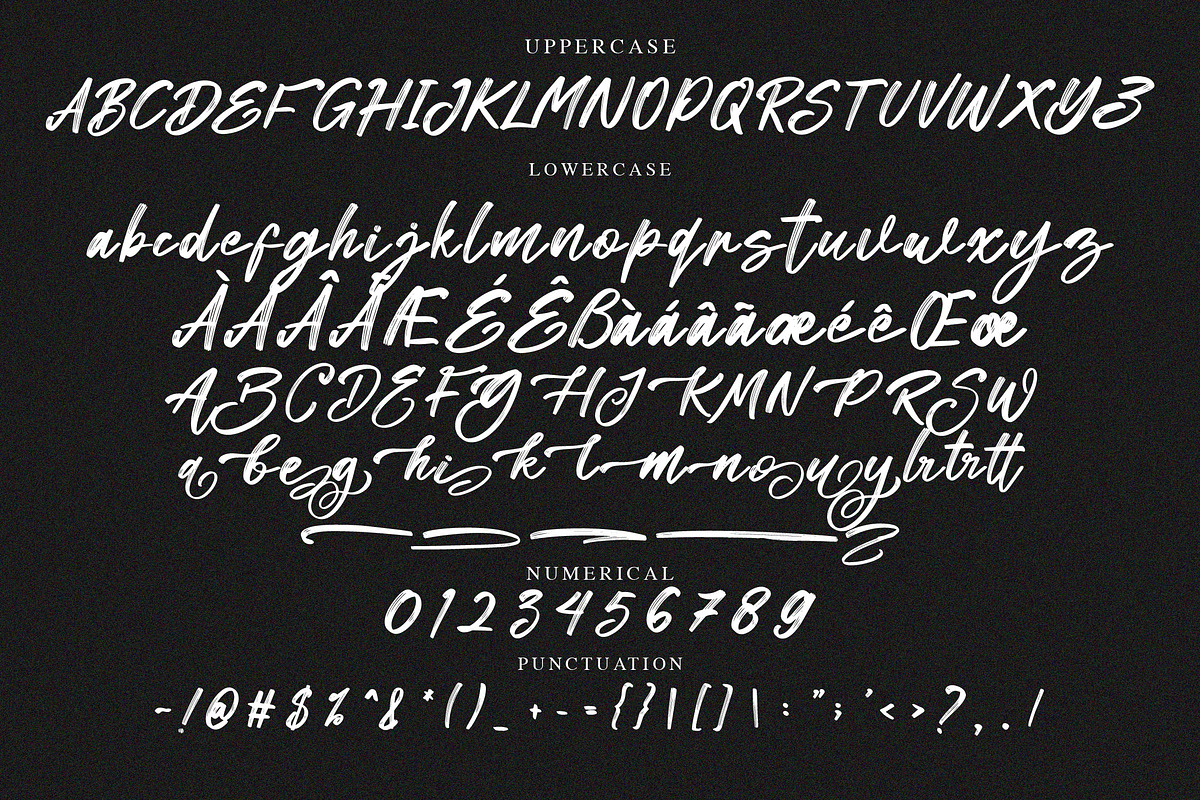 Moulidya Brush Script Font, a Script Font by NTC Graphic (Photo 6 of 7)