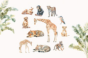 Safari Story, an Animal Illustration by PeDe Designs (Thumbnail 4 of 15)