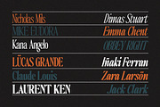 The Qualified Family (54 Fonts), a Serif Font by Positive TypeFoundry (Thumbnail 12 of 15)