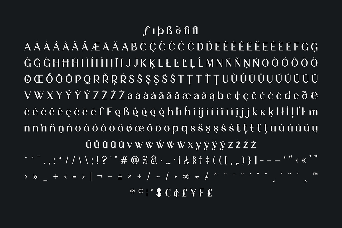 Aturia — High-contrast sans serif, a Sans Serif Font by Nollev (Photo 12 of 12)