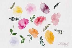 Watercolour Roses Procreate Stamps