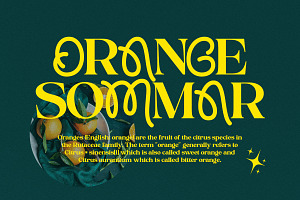 Proxina Serif Font