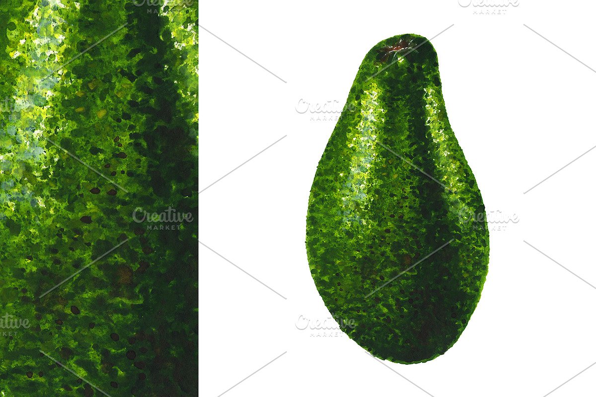 Hand-drawn watercolor Avocado, a Food Illustration by Margo Miller (Photo 4 of 12)
