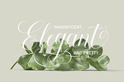 Keneisha Script, a Script Font by Seniors (Thumbnail 10 of 13)