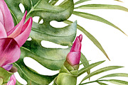 Watercolor tropical arrangements., an Illustration by Mary (Thumbnail 3 of 4)