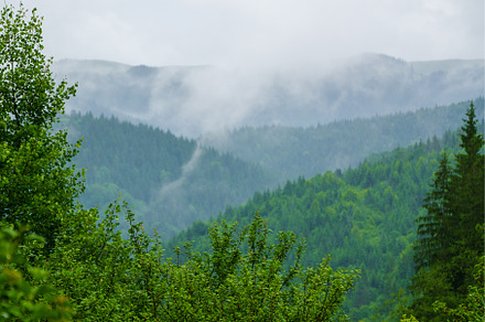 Foggy morning landscape, a Nature Photo by Nature and travel