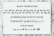 Oh Magnohara Script, a Script Font by Bosstype Studio (Thumbnail 5 of 8)