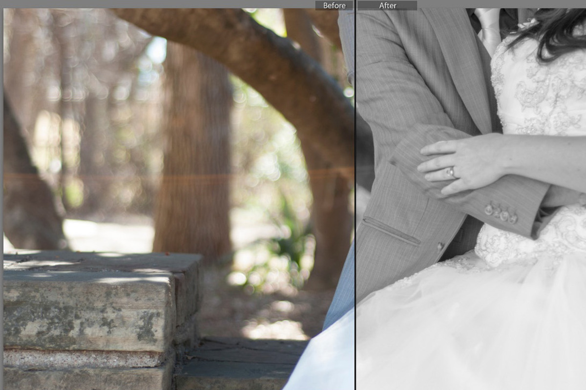 Black and White Lightroom Presets preview 5