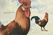 Rare! Meinhold Zoology Cliparts, an Object Graphic by Lilithcollageart (Thumbnail 5 of 11)