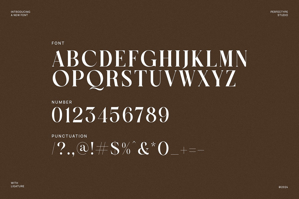 Rudge - Serif Font, a Serif Font by Luna Shop (Photo 2 of 6)