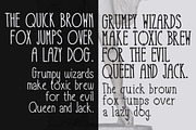 Take It or Leave It - 3 font family, a Script Font by Idil Keysan (Thumbnail 2 of 5)