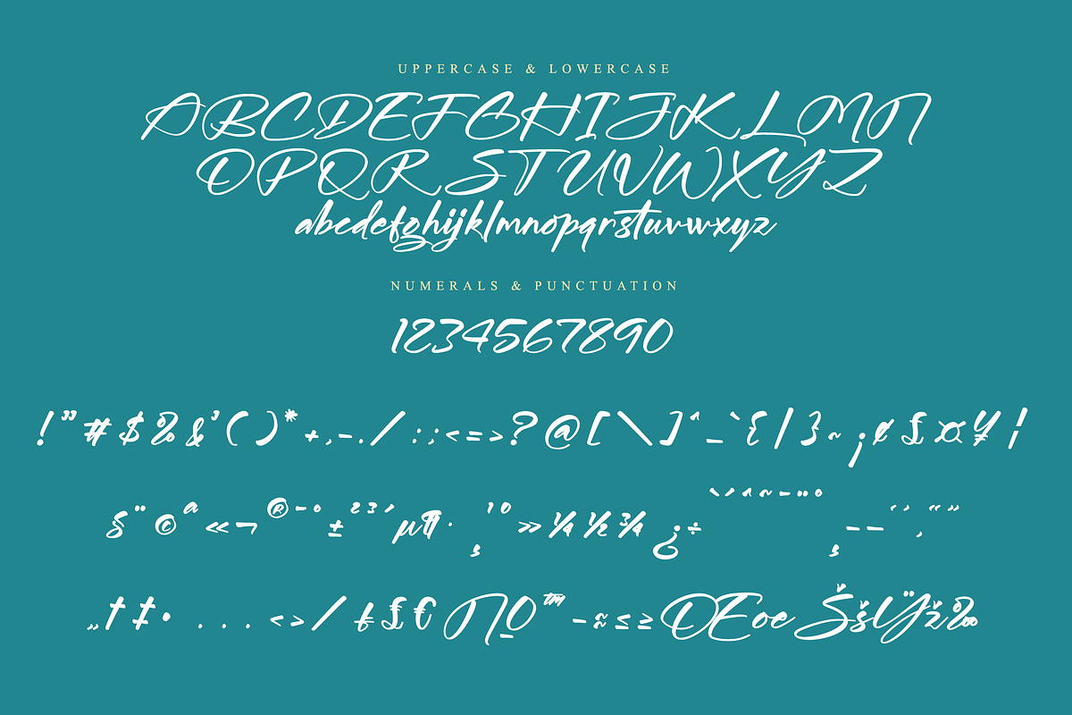 Midnight Sneaker, a Script Font by operatype.co (Photo 13 of 15)