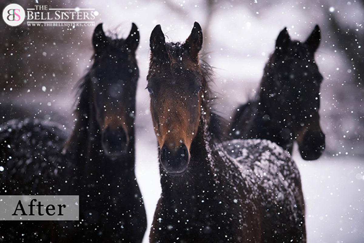 The Snow Textures Pack, a Layer Style Add-On by The Bell Sisters (Photo 3 of 7)