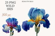 Wild Iris Clipart, an Illustration by Designworld (Thumbnail 1 of 10)