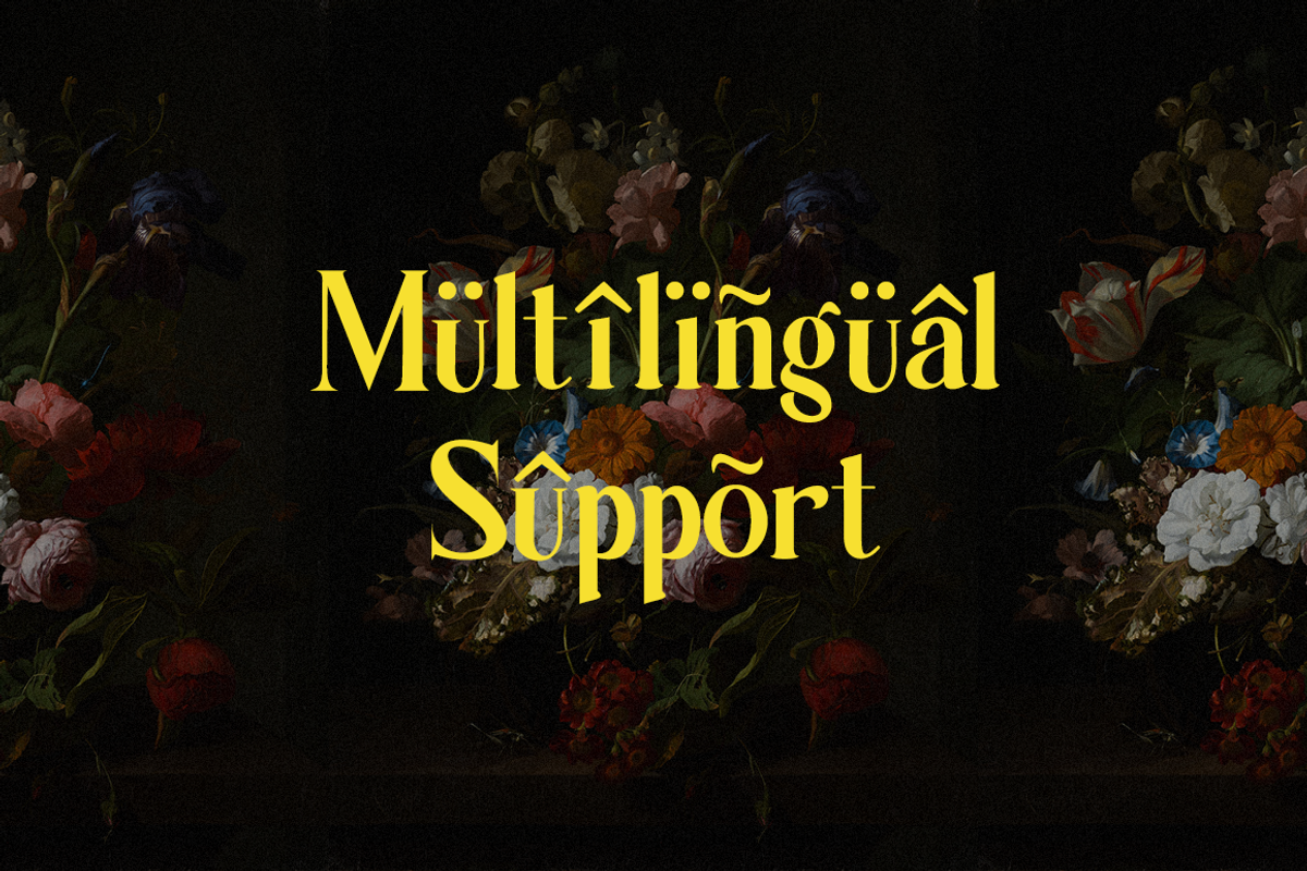 Levagrante - Display Serif Font, a Serif Font by RockboyStd (Photo 9 of 12)