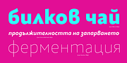 Quat, a Sans Serif Font by Ani Dimitrova (Thumbnail 4 of 15)