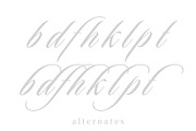 Todaya Scriptua, Calligraphy Font, a Script Font by Andfonts (Thumbnail 5 of 9)