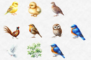 Watercolor Spring Birds Garden Clipa, an Illustration by Designworld (Thumbnail 4 of 7)